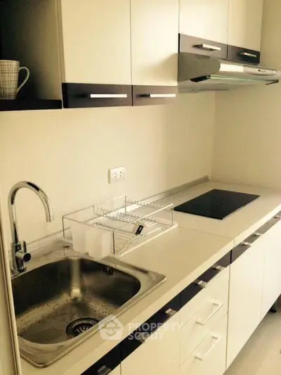 Modern kitchen with sleek cabinetry and electric cooktop