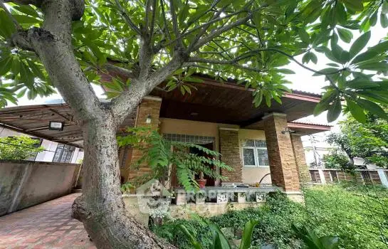 image_rental-22433195