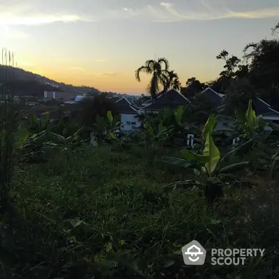 Scenic view of tropical garden with lush greenery and distant rooftops at sunset.