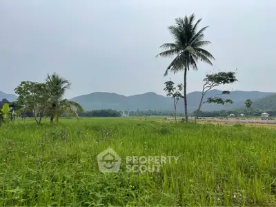 Scenic view of lush green field with palm trees and mountains in the background, perfect for real estate development.