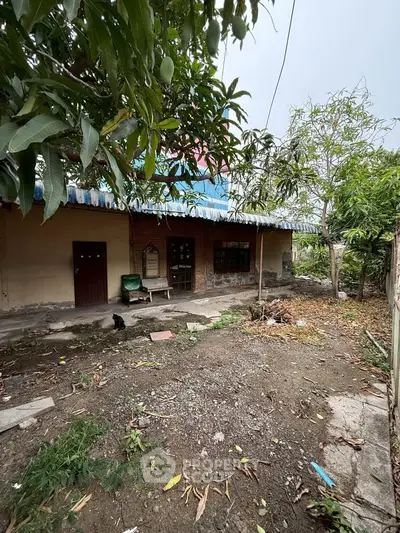Charming rustic property with lush greenery and potential for renovation.