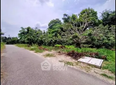 Scenic land plot with lush greenery and paved road access, ideal for development.