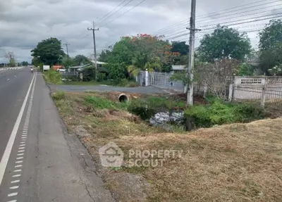 Vacant roadside land with greenery and potential for development