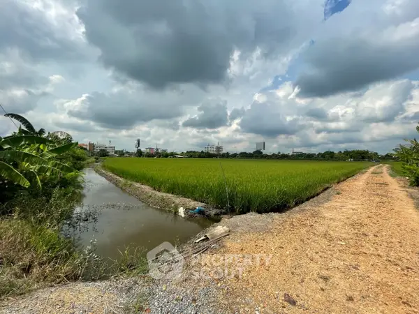 image_rental-21739682