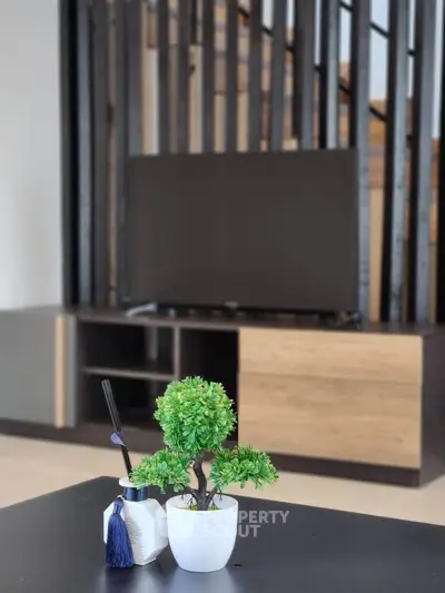 Modern living room with stylish TV stand and decorative plant