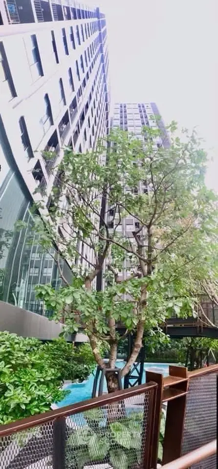 Modern high-rise building with lush greenery and poolside view, perfect for urban living.