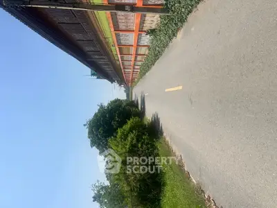Charming rural road beside traditional wooden building with lush greenery