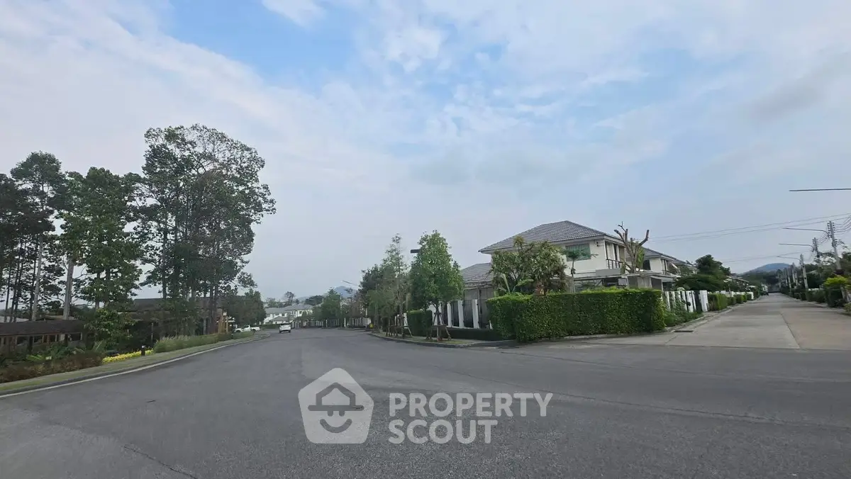 Charming suburban neighborhood with lush greenery and modern homes