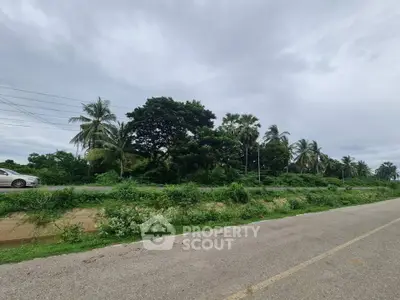 Scenic roadside view with lush greenery and palm trees under a cloudy sky.