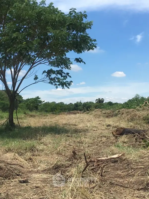 image_rental-19915236