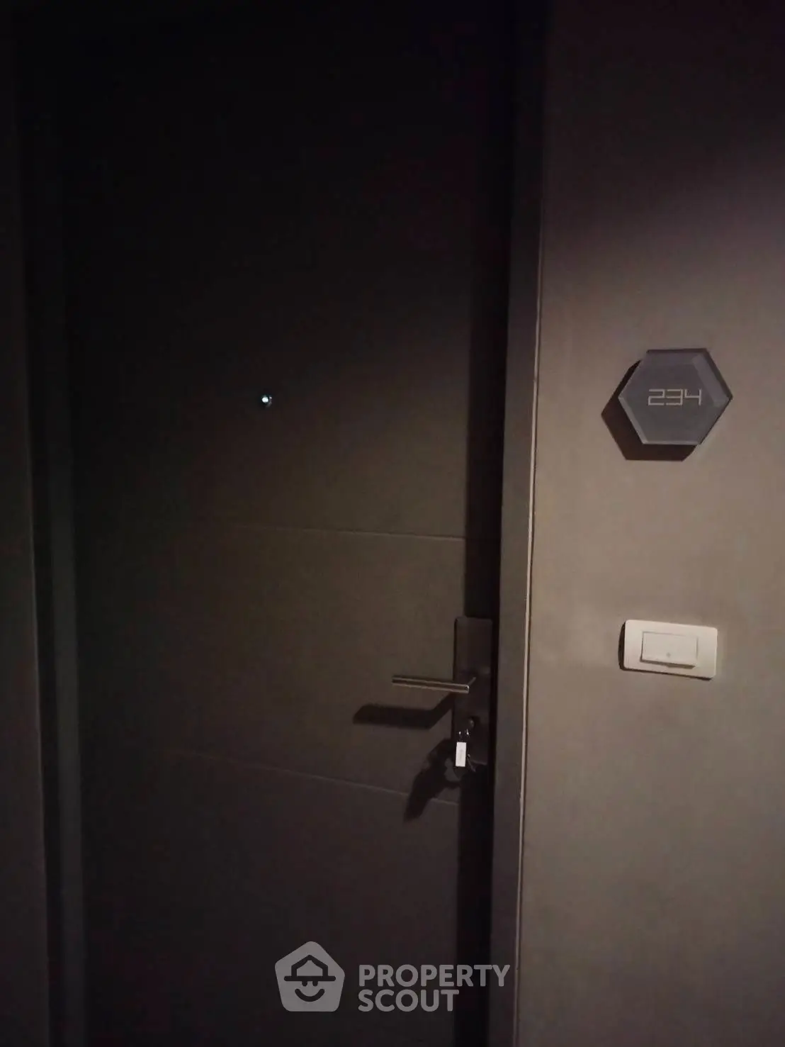 Modern apartment entrance with sleek door and room number 234
