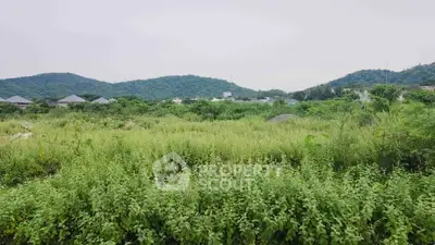 Expansive land plot with lush greenery and scenic mountain views, ideal for development or investment.