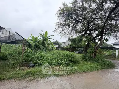 Spacious green plot with lush vegetation and trees, ideal for development or gardening.
