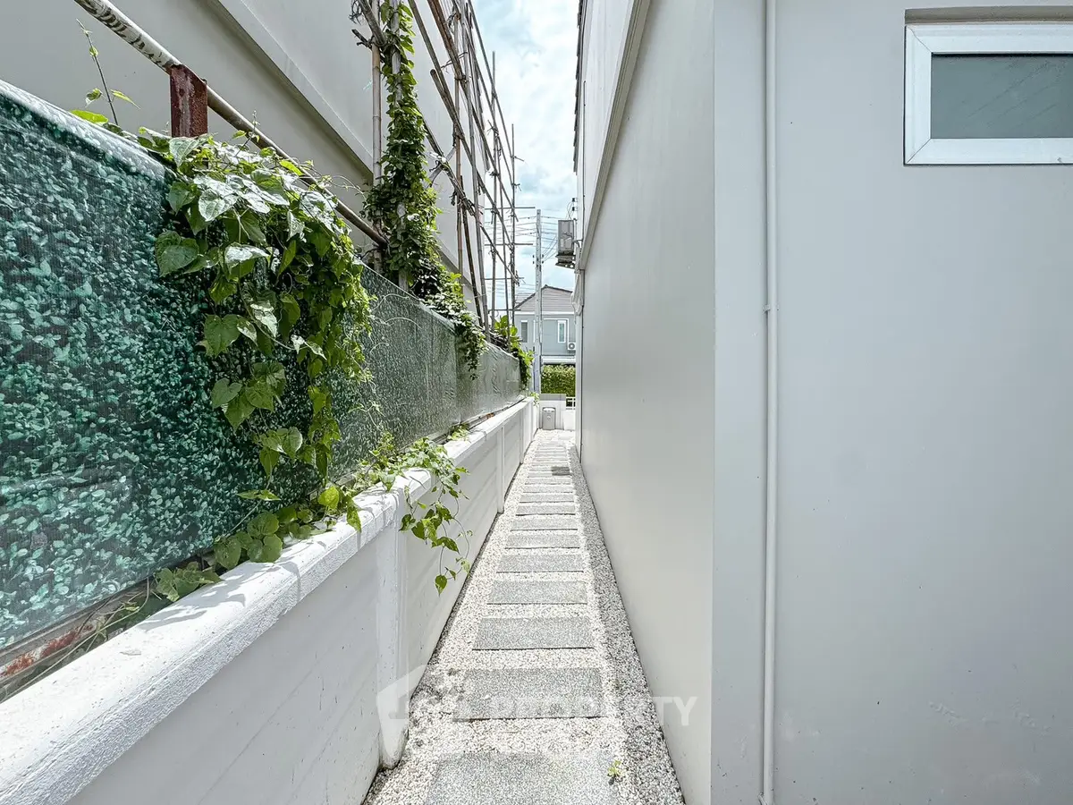 Narrow exterior pathway with greenery and modern design elements.