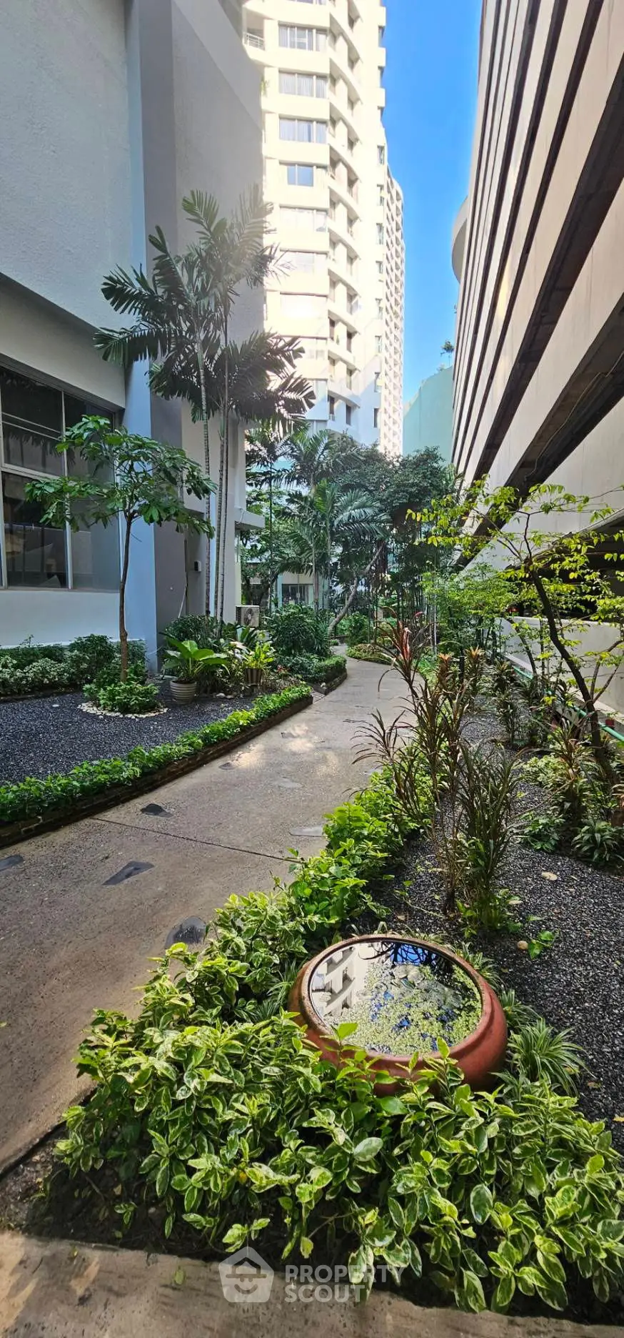 Lush garden pathway in modern residential complex with tall buildings and tropical plants.