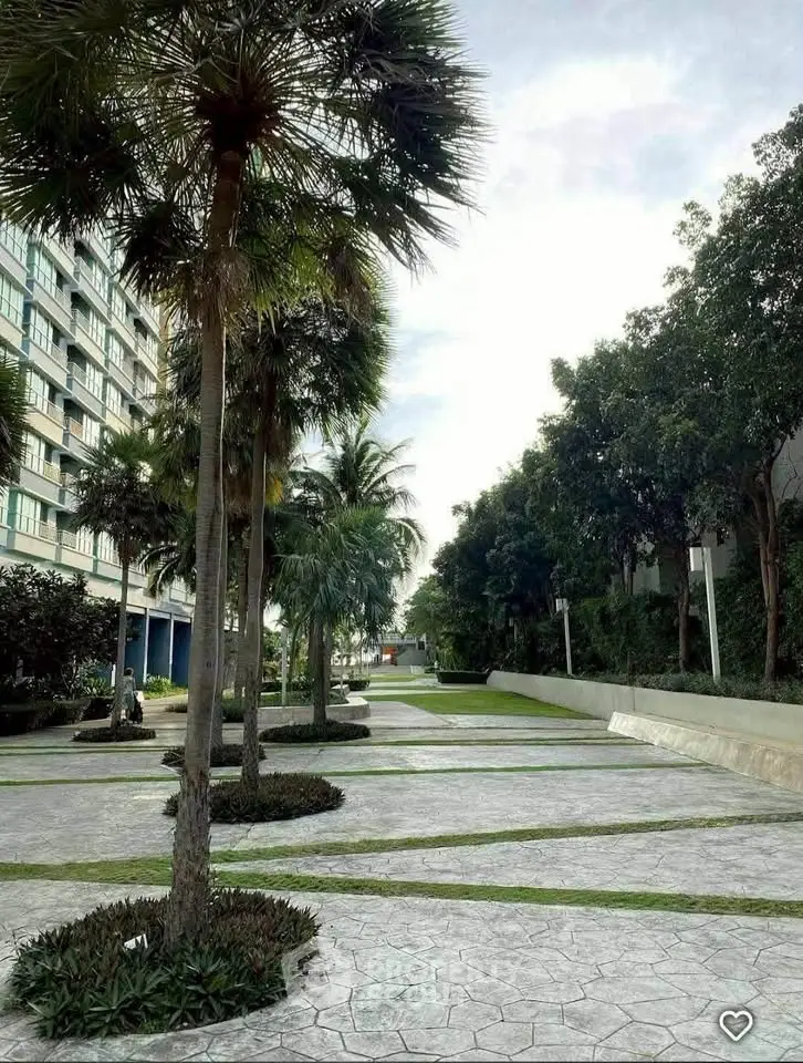 Lush garden area with palm trees in modern residential complex