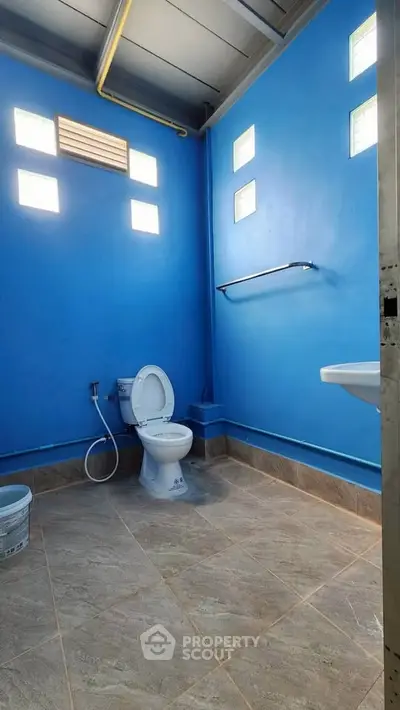 Bright blue bathroom with modern fixtures and natural light