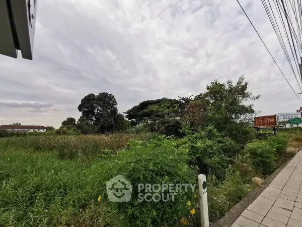 image_rental-28594318