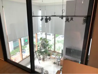 Modern living room with large windows and indoor plants, offering a bright and airy atmosphere.