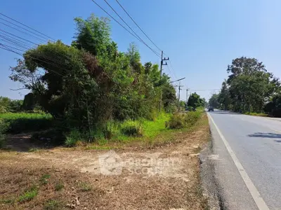 Scenic roadside land plot with lush greenery and clear blue sky, ideal for development opportunities.