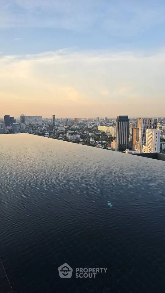 Stunning rooftop infinity pool with breathtaking city skyline view at sunset.
