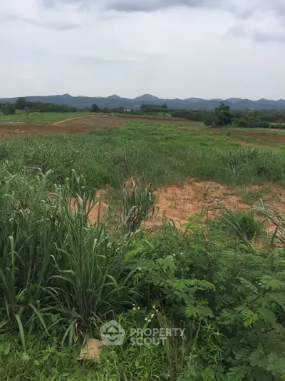 Expansive land with lush greenery and scenic mountain views, perfect for development or agriculture.