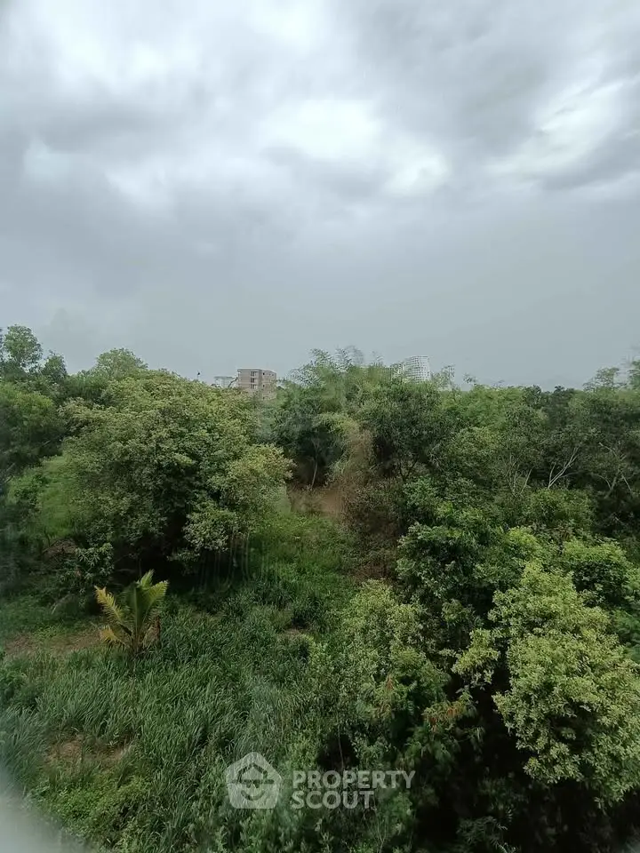 Lush green view from a property showcasing dense trees and cloudy sky.