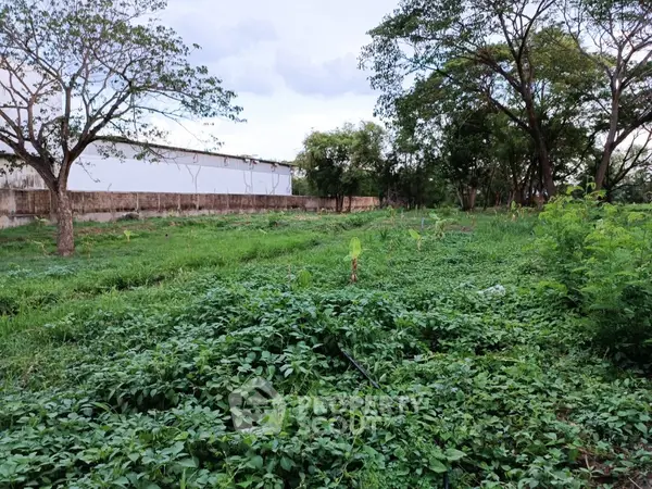 image_rental-18647987