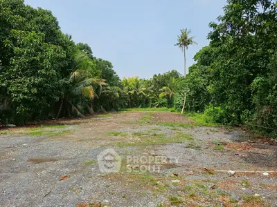 image_rental-23520695