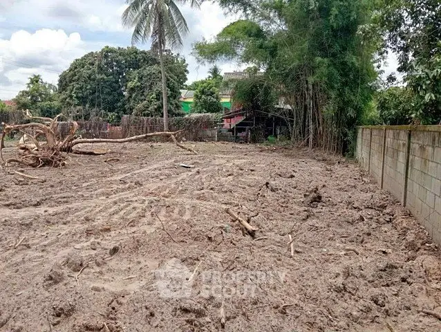 Vacant land plot with potential for development, surrounded by lush greenery and a serene environment.