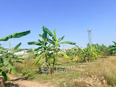 image_rental-30151747