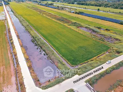 Aerial view of expansive green farmland with adjacent road and water channels, ideal for agricultural development.