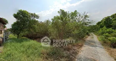 Scenic rural land with lush greenery and gravel path, perfect for development or agriculture.