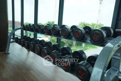 Modern gym with large windows and dumbbell rack offering a bright workout space.