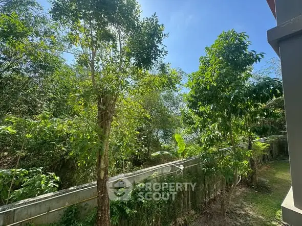 Lush garden view from a residential property, showcasing vibrant greenery and a serene outdoor space.