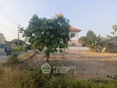 Vacant land plot with a tree, ideal for development, near residential area.