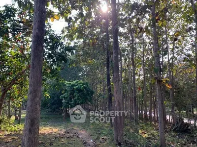 image_rental-31623972