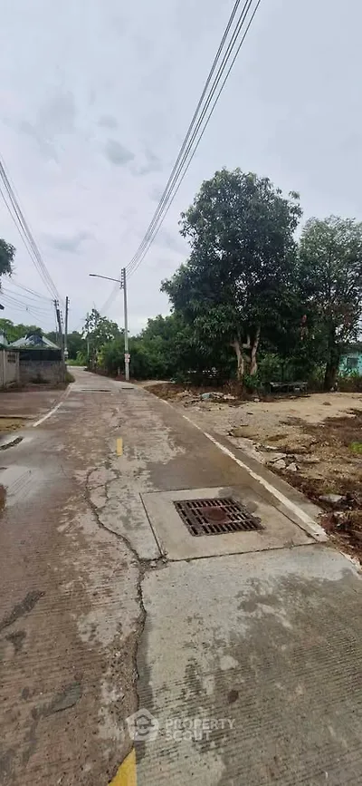Explore potential real estate opportunities on this quiet suburban street with lush greenery and open space.