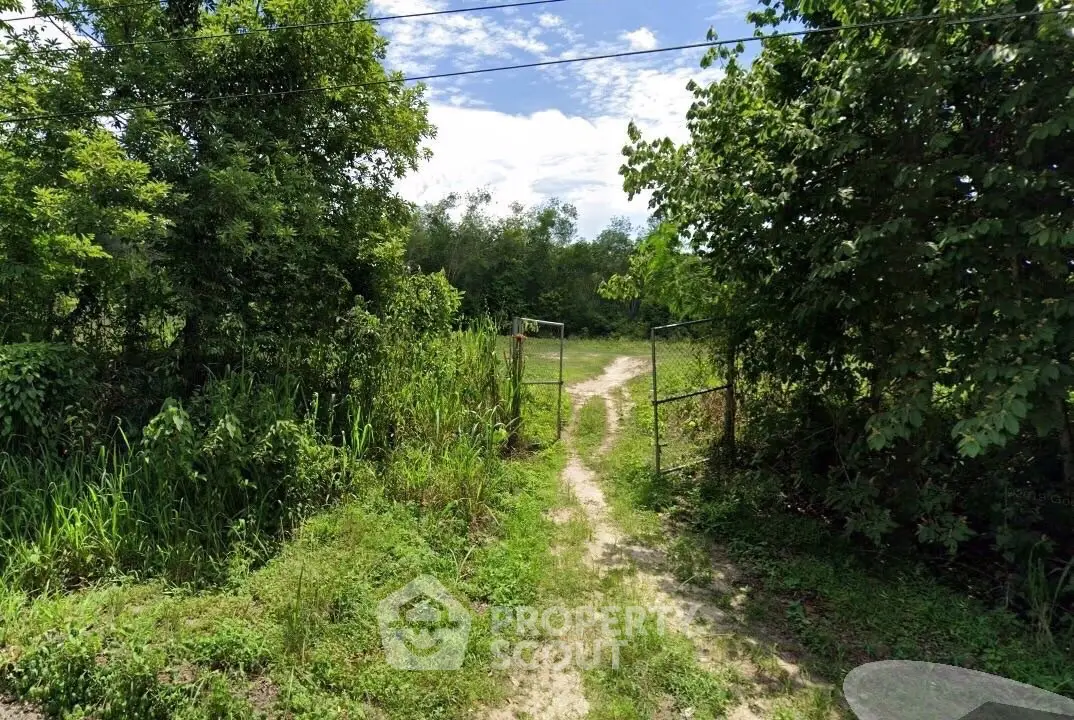 Scenic rural path leading through lush greenery and open gate, perfect for nature lovers.