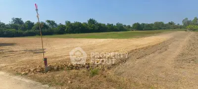 image_rental-31426256