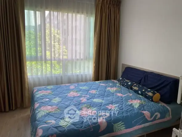 image_rental-27573935