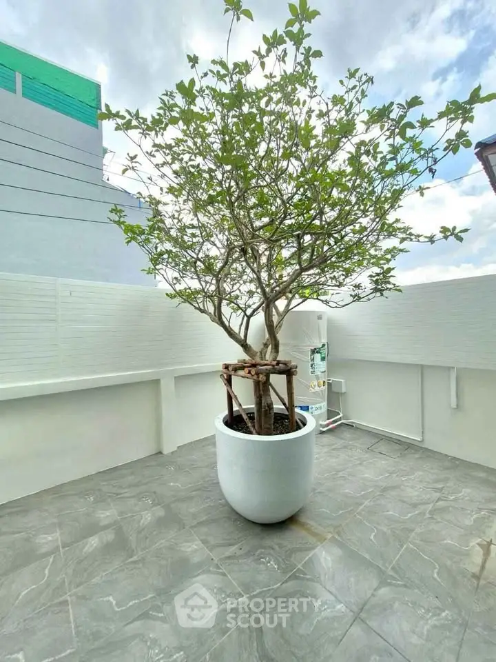 Spacious rooftop terrace with potted tree and modern design, perfect for relaxation and outdoor activities.