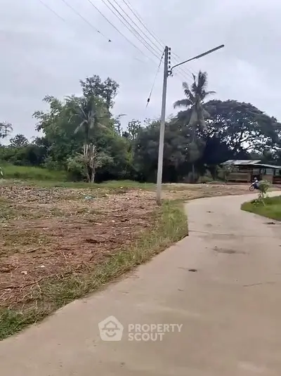 image_rental-29742321