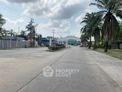Spacious residential street with palm trees and distant view of houses under a cloudy sky.
