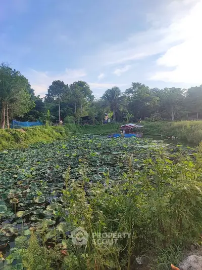 image_rental-31707394