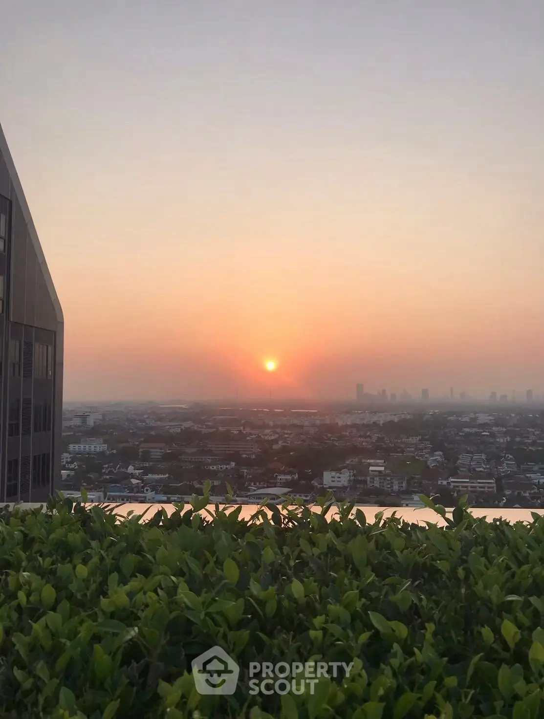Stunning sunset view from a high-rise building overlooking the city skyline and lush greenery.