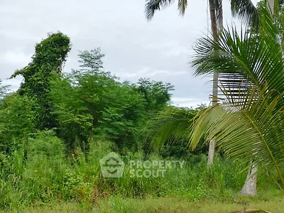 Lush green landscape with tropical trees and dense foliage, perfect for nature lovers.