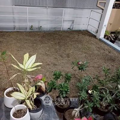 Charming garden space with potted plants and fenced area, ideal for outdoor relaxation.