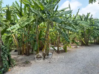 image_rental-31638412