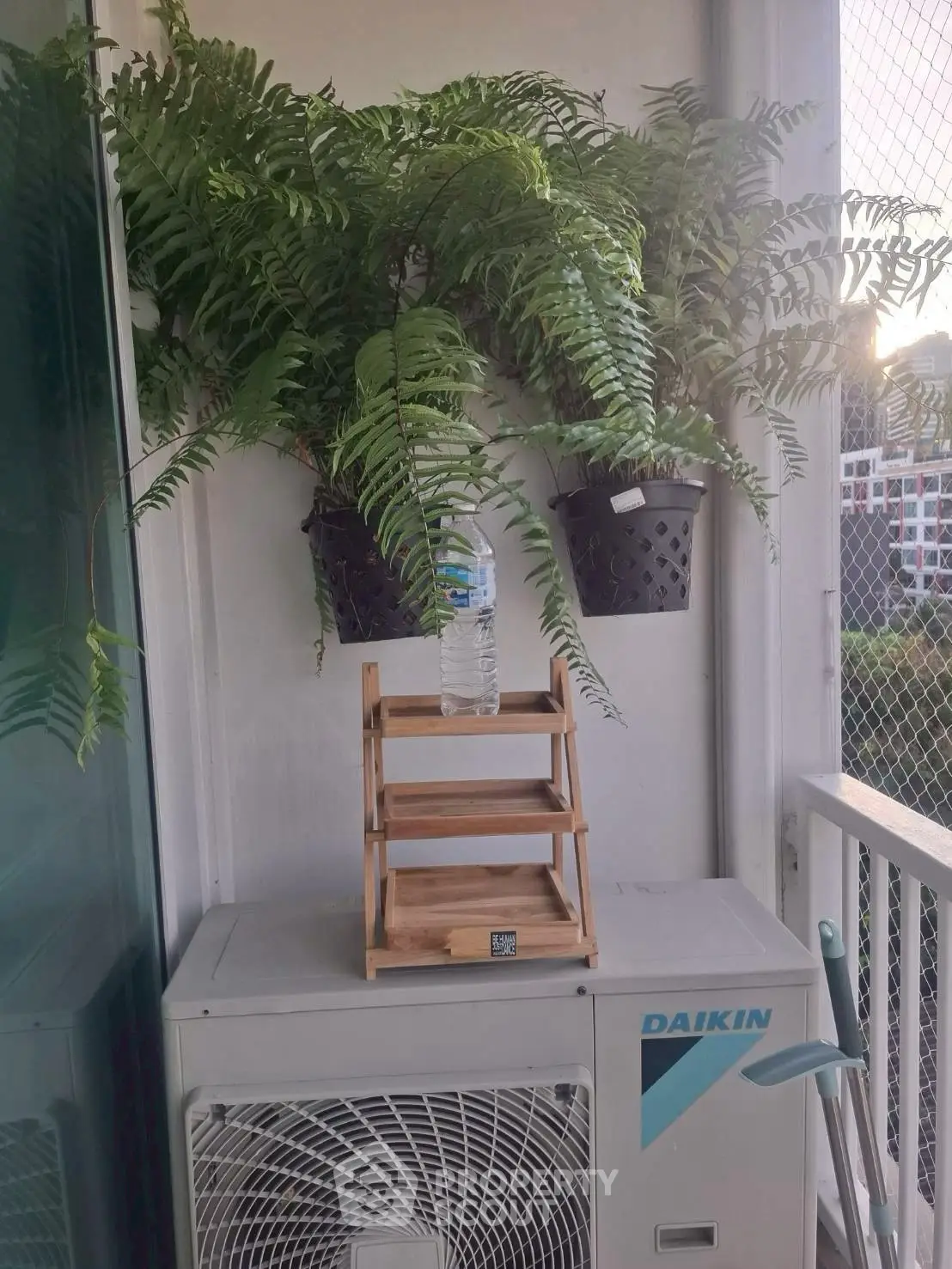 Charming balcony with lush ferns and air conditioning unit, perfect for relaxation.